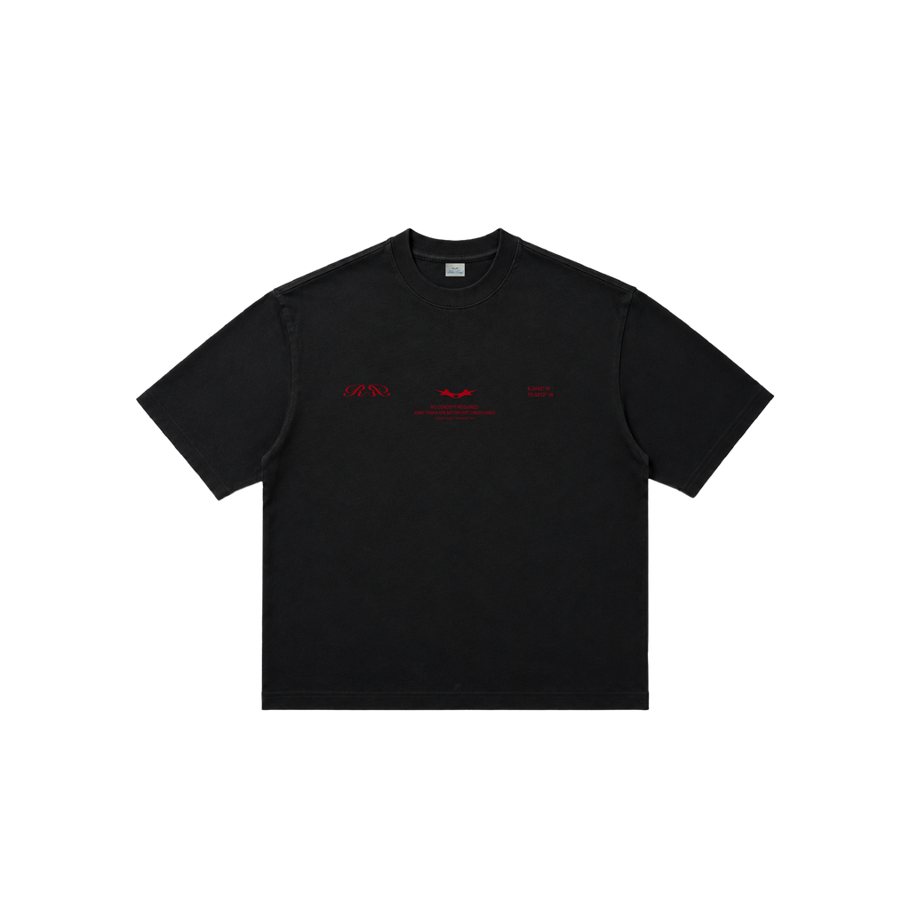 PLAIN BOXY TSHIRT