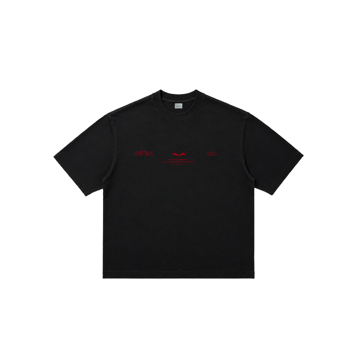 PLAIN BOXY TSHIRT
